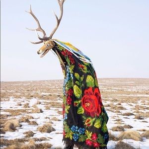 Meet your Posher, Venessa